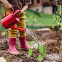 Smarter spending for spring